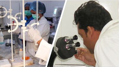 Research, Innovation & Product Excellence